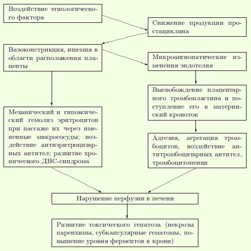 Краш синдром патогенез схема Краш синдром патогенез схема