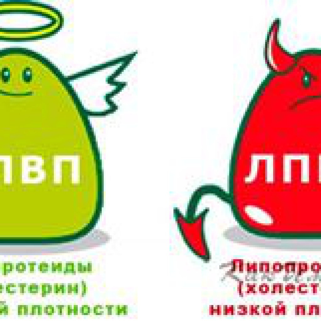 2019 год - Миф о холестерине — крупнейший обман ХХ века 2019 год - Миф о холестерине — крупнейший обман ХХ века | Golbis