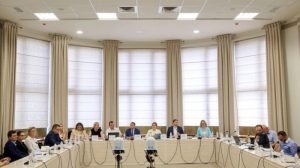 Дорожню карту створення органу державного контролю обговорили з представниками фармацевтичної сфери